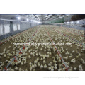 Poultry Farming Equipment